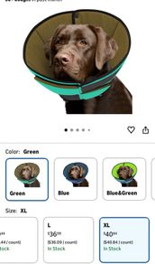 Dogs