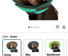 Dogs