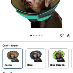 Dogs