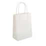 Paper Party/Gift Bags with Twisted Paper Handles Small/Medium/Large/Extra-Large Image 9