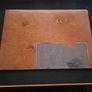 Warhammer 40k Terrain Sheets and Gaming Mat Image 2