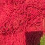 red rug Image 2