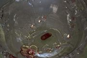 Germane Walter crystal bowl 22 w. x11 cm. tall