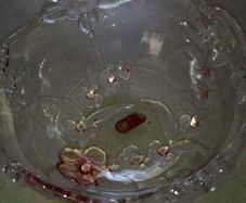 Germane Walter crystal bowl 22 w. x11 cm. tall