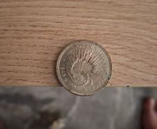 coin
