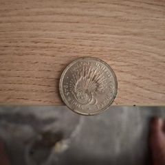 coin