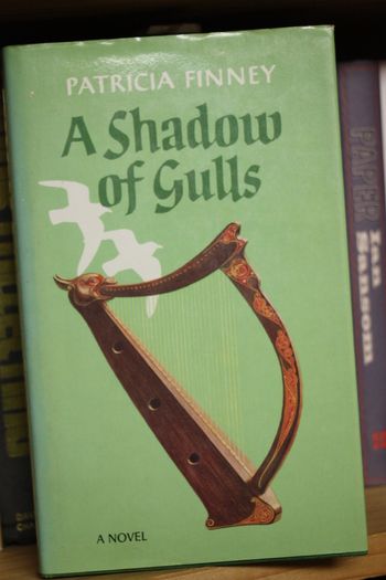 A Shadow of Gulls.