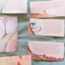 Steiner inspired Story Matching Game Image 2
