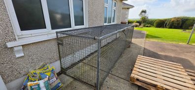 Dog run / chicken run