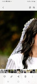 Wedding Veil