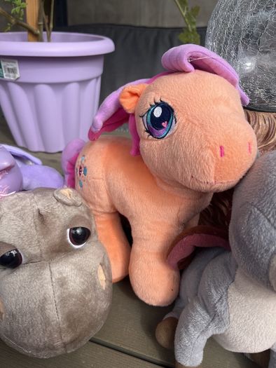 teddies