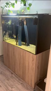 Aquarium/ Fish Not For Sale!!!