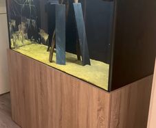 Aquarium/ Fish Not For Sale!!!