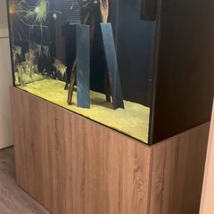 Aquarium/ Fish Not For Sale!!!