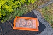 Wood sculpted tea tray postage possible