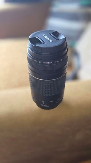Canon 75-300 Lens