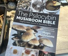 The Psilocybin Mushroom Bible Magic Mushies Book