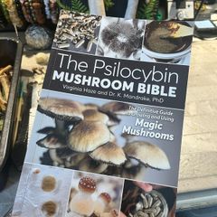 The Psilocybin Mushroom Bible Magic Mushies Book