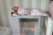 Our Generation Dolls Bed &amp; Vanity