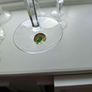 4 Waterford Crystal Millennium Happiness Flutes Image 2