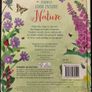Usborne Look Inside Books Set (4 Books) Brand New, Perfect Condition Image 8