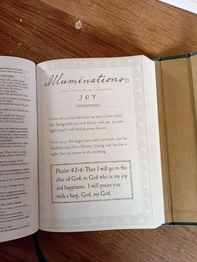 Bible New