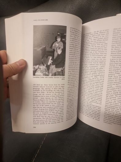 Companion to Irish Traditional Music (Hardback)