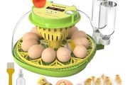 Incubators for Hatching Eggs,12 Egg Incubator with Automatic Egg Turning and Humidity Control,Egg Candler,Air Vent,360  Viewing for Chicken,Quail Eggs,Ideal for Farm,Classroom,Home