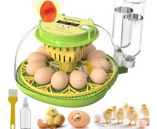 Incubators for Hatching Eggs,12 Egg Incubator with Automatic Egg Turning and Humidity Control,Egg Candler,Air Vent,360  Viewing for Chicken,Quail Eggs,Ideal for Farm,Classroom,Home