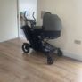 Buggy Image 8