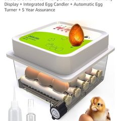 egg incubator