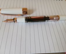 Twsbi 580 rose gold II fountain pen