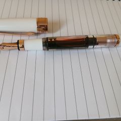Twsbi 580 rose gold II