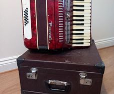 Parrot Piano Accordion