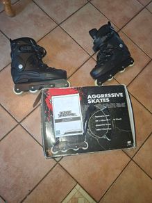 Aggressive Skates