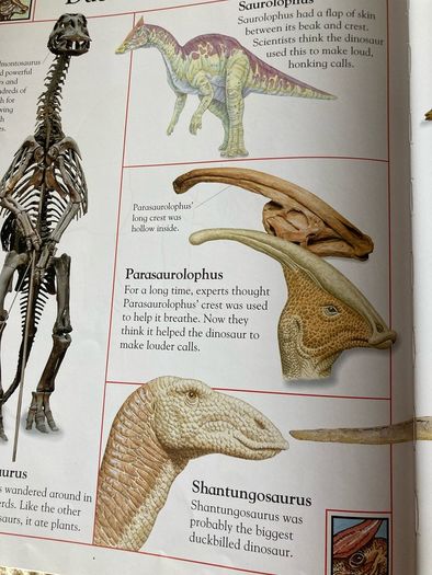 The Big Book of Dinosaurs.
