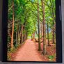 Samsung Z fold 7 Image 5