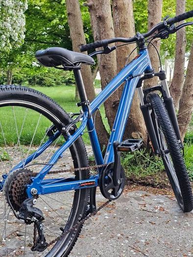 Teenagers Rockrider Bike. Kids cycle