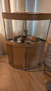 Reptile Tank and Cabinet