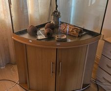 Reptile Tank and Cabinet