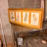 picture frames/paintings Image 6