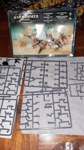 T'AU Empire Fire Warrior + Kroot Carnivore & TAU Codex