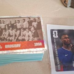 100+ Panini World Cup 2026 Stickers All Different