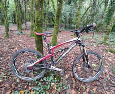 lapierre zesty full carbon fibre