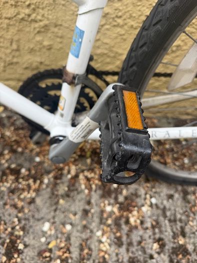 Raleigh Pioneer