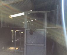 Equine Hydrotherapy Spa