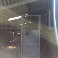 Equine Hydrotherapy Spa