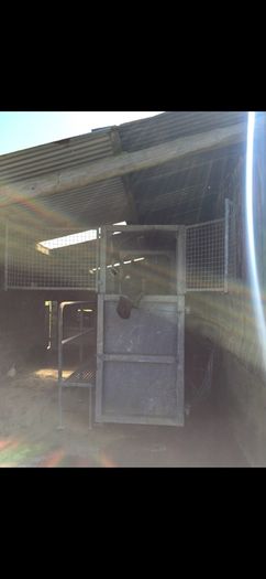 Equine Hydrotherapy Spa