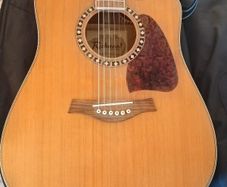 Acoustic Guitar - Richwood
