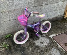 Purple Princess Kids Bike